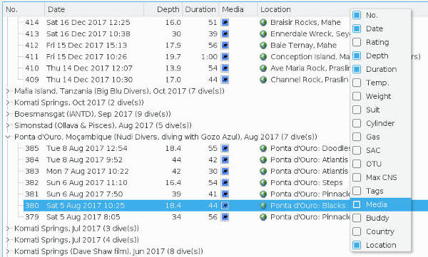 Example: Dive list info options