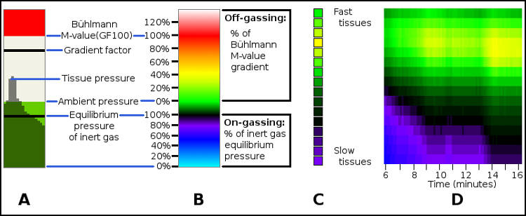 Figure: Inert gas tissue pressure heat-map